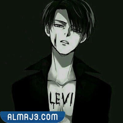 اجمل صور ليفاي هجوم العمالقة كيوت