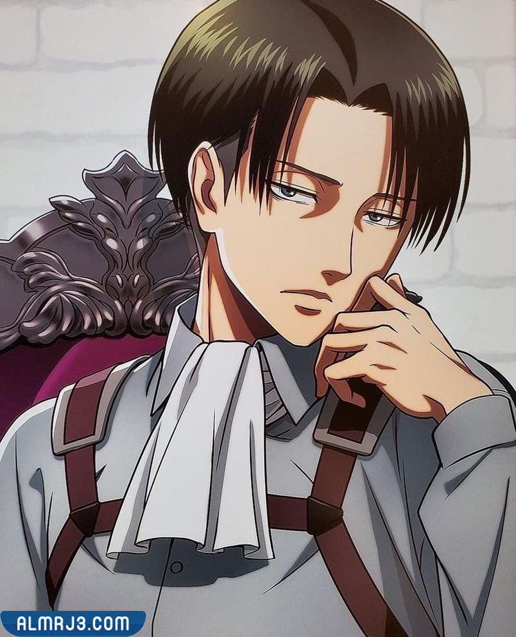 اجمل صور ليفاي هجوم العمالقة كيوت