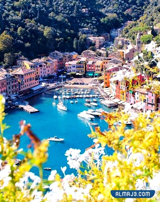 احتفال اللاعب البريطاني راين روني بزواجه داخل مدينة بورتوفينو