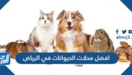 افضل محلات الحيوانات في الرياض