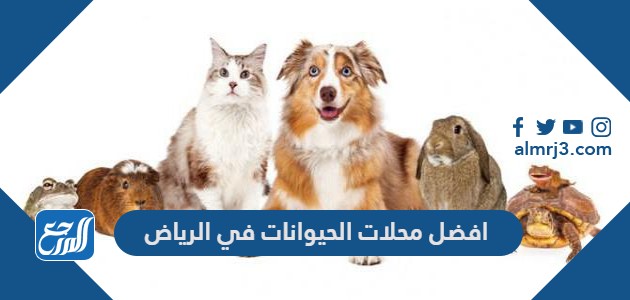 افضل محلات الحيوانات في الرياض