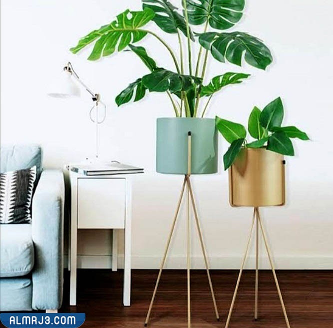 افكار هدايا يوم المرأة العالمي 2022 أفكار لأجمل هدايا مميزة للسيدات