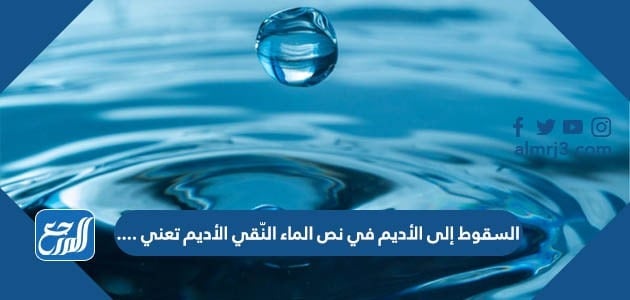 السقوط إلى الأديم في نص الماء النّقي الأديم تعني ....