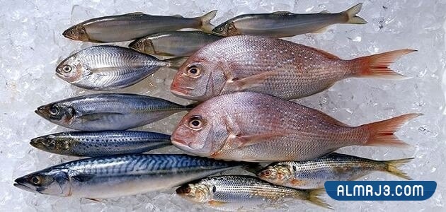 السمك النيء في المنام