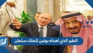 معلومات عن الطير الذي اهداه بوتين للملك سلمان