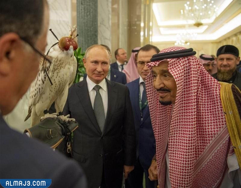 الطير الذي اهداه بوتين للملك سلمان