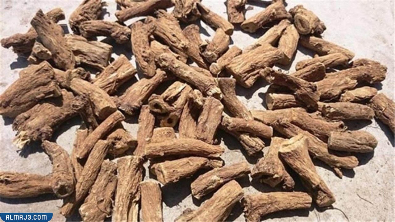 العود الهندي