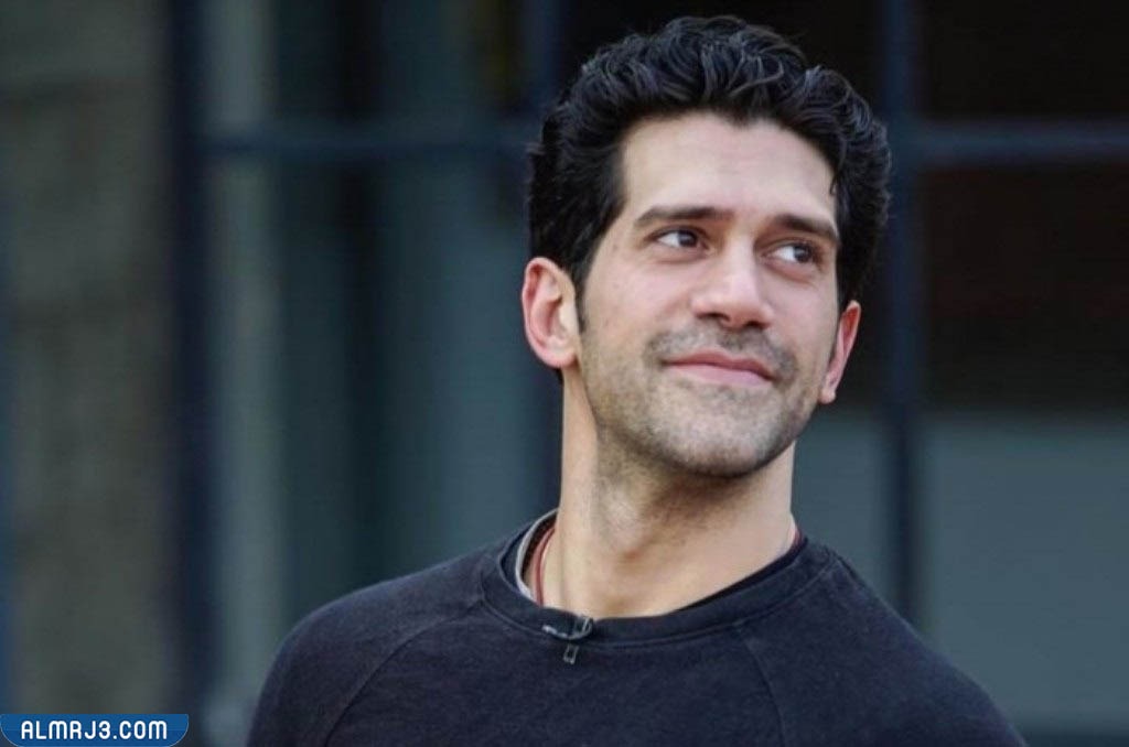 الفنان أحمد مجدي