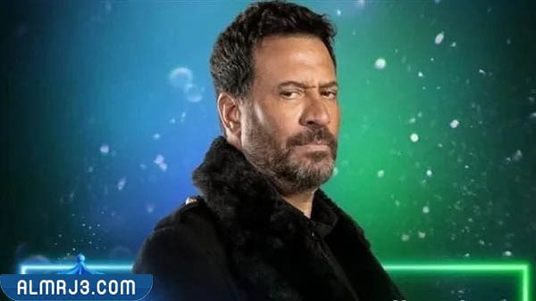 الفنان ماجد المصري