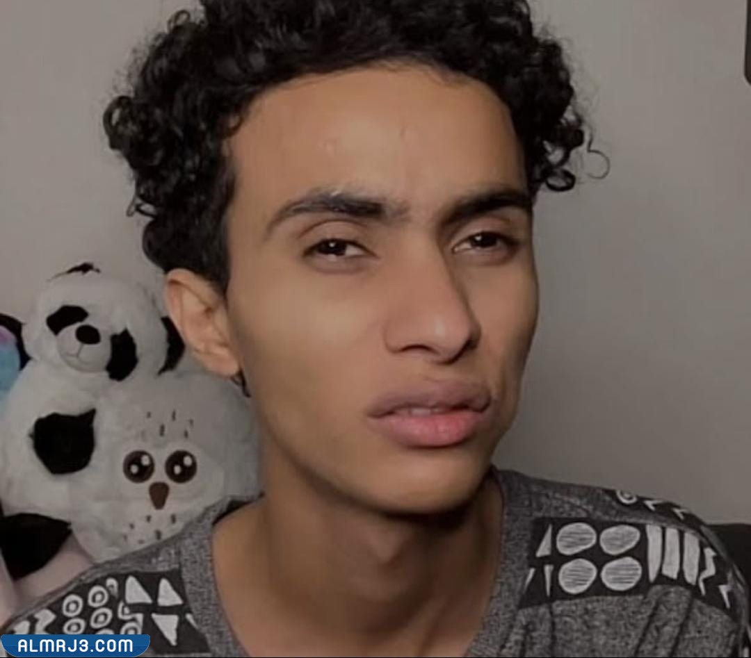 المودل هيما ويكيبيديا