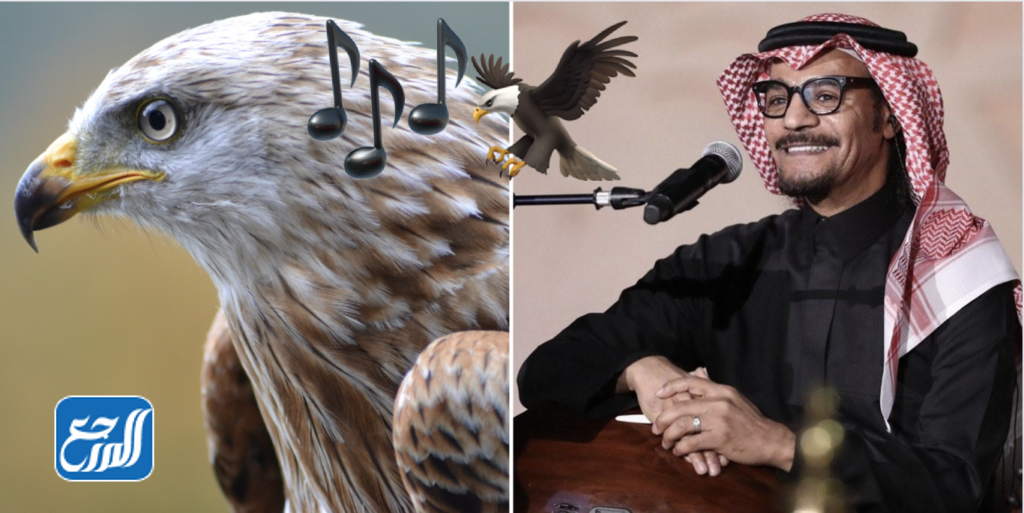 النجوم المشاركة في حفل ليلة الصقور