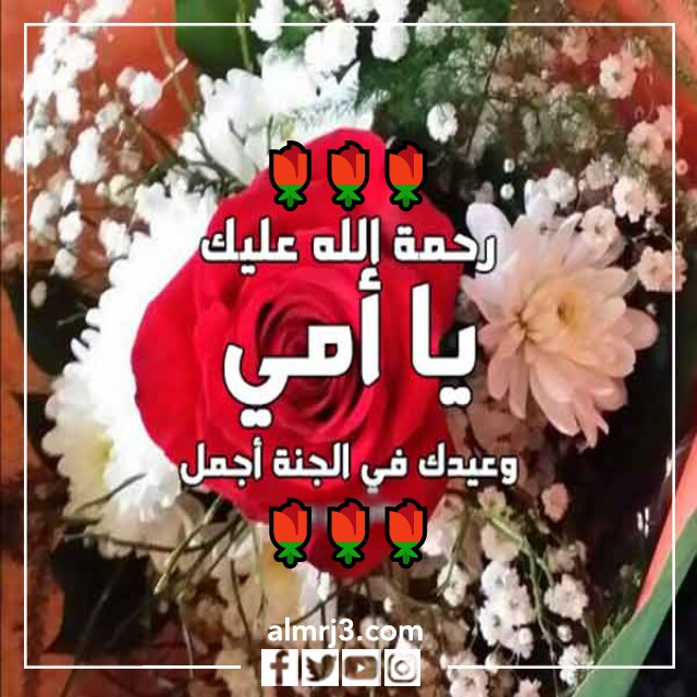 بطاقة معايدة لامي المتوفية في عيد الأم