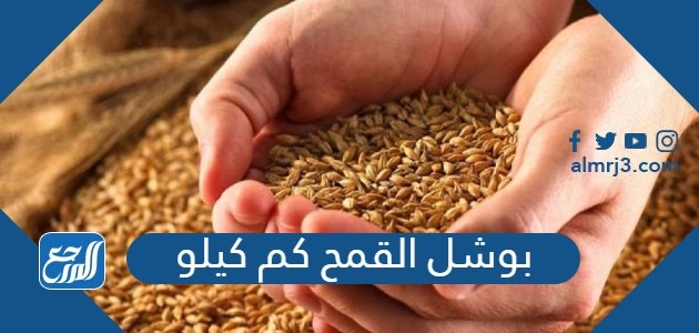 بوشل القمح كم كيلو