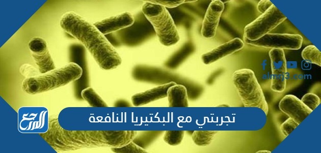 تجربتي مع البكتيريا النافعة
