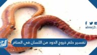 تفسير حلم خروج الدود من اللسان في المنام