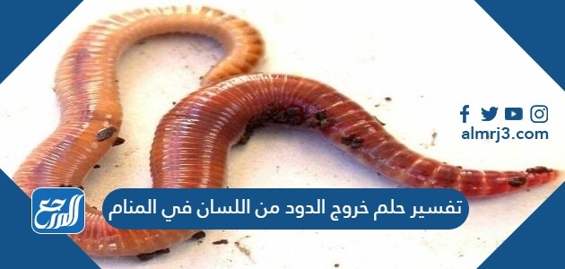تفسير حلم خروج الدود من اللسان في المنام