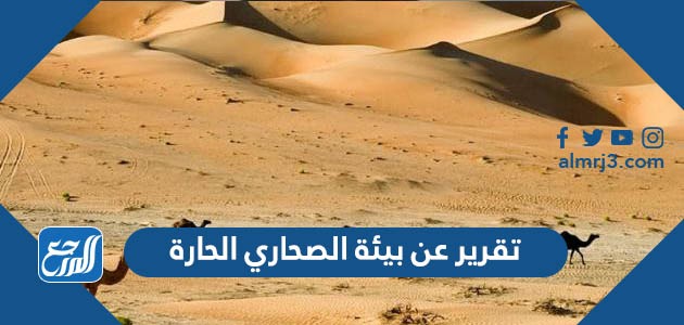 تقرير عن بيئة الصحاري الحارة