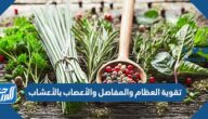 تقوية العظام والمفاصل والأعصاب بالأعشاب
