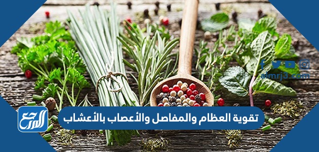 تقوية العظام والمفاصل والأعصاب بالأعشاب