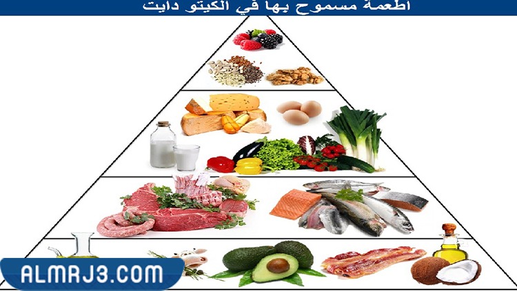الأطعمة المسموح تناولها في الكيتو دايت