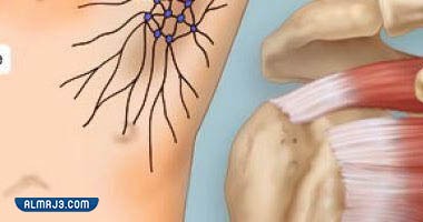 الأسباب التي تؤدي إلى حدوث حساسية الإبط