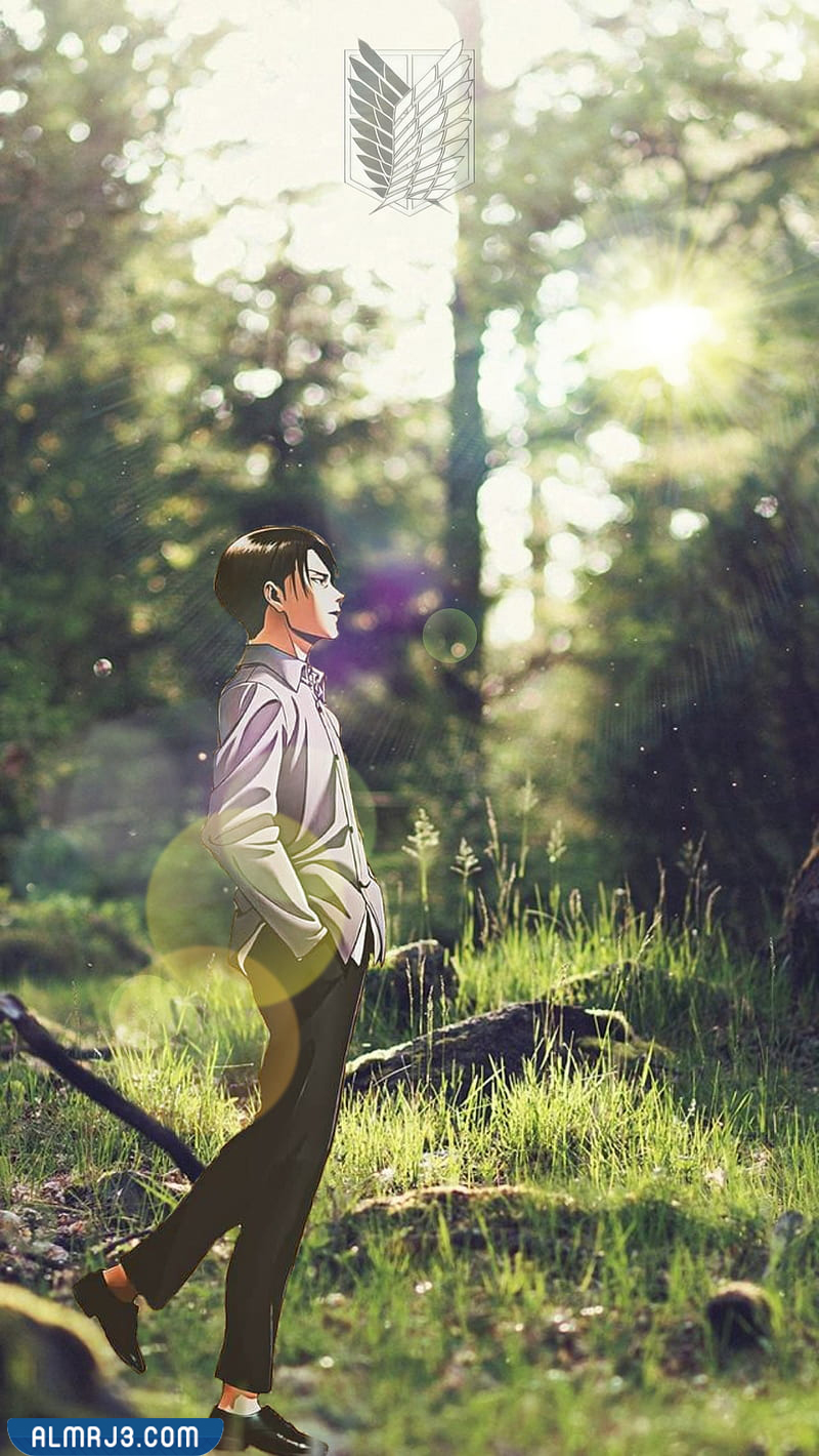 خلفيات انمي هجوم العمالقة ليفاي فخمة hd