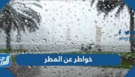 اذا احد قال مكانك المطبخ وش اقول