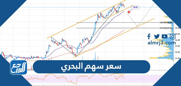 سعر سهم البحري