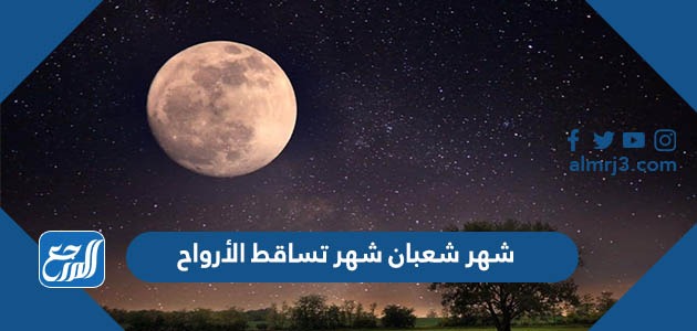 شهر شعبان شهر تساقط الأرواح