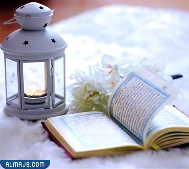 صور فوانيس رمضان 2022 اجمل خلفيات ورمزيات فانوس رمضان