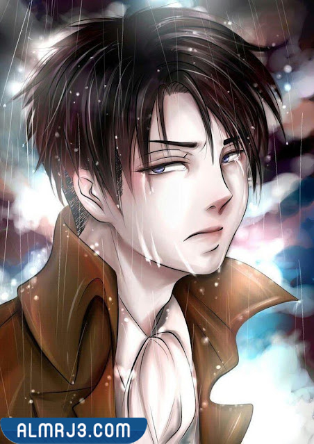 صور ليفاي 2022