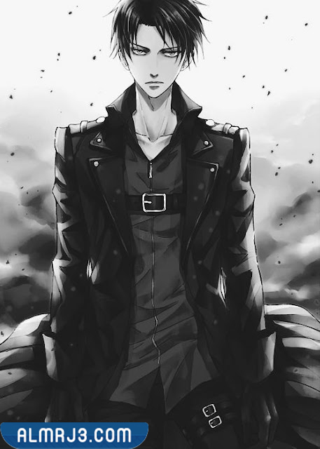 صور ليفاي 2022