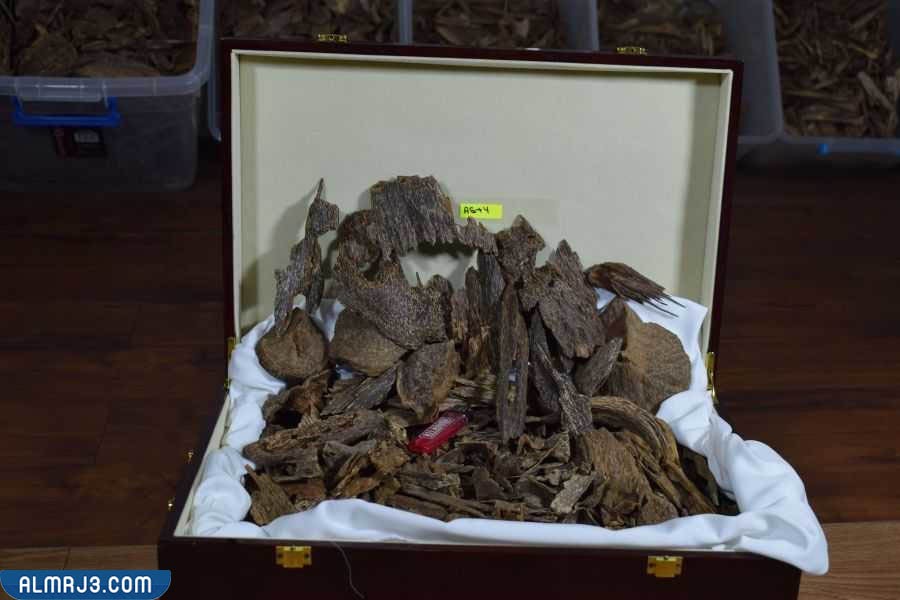 طريقة اختبار العود عن طريق الماء