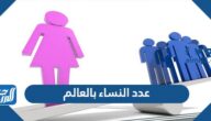 كم عدد النساء بالعالم 2025