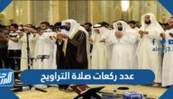 كم عدد ركعات صلاة التراويح وكيفية ادائها
