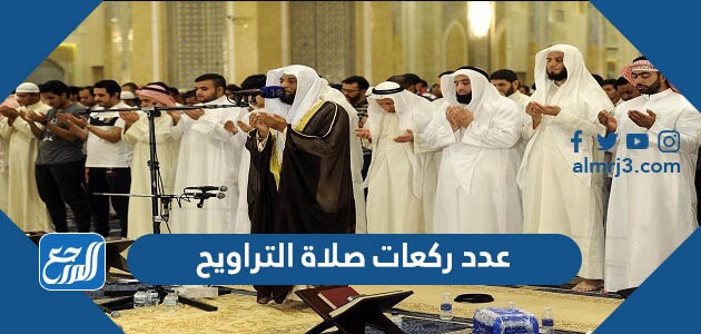 عدد ركعات صلاة التراويح