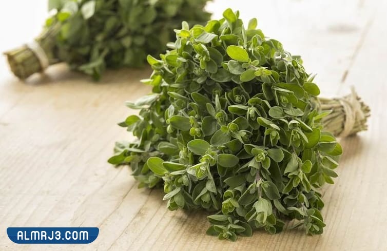 فوائد البردقوش لتكيس المبايض