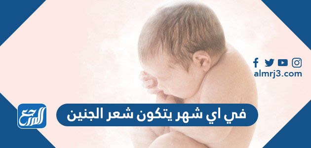 في اي شهر يتكون شعر الجنين