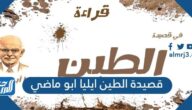 قصيدة الطين ايليا ابو ماضي