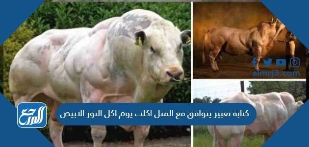 كتابة تعبير يتوافق مع المثل اكلت يوم اكل الثور الابيض