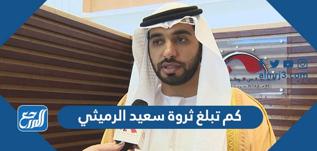 كم تبلغ ثروة سعيد الرميثي