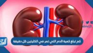 كم تبلغ كمية الدم التي تمر في الكليتين كل دقيقة