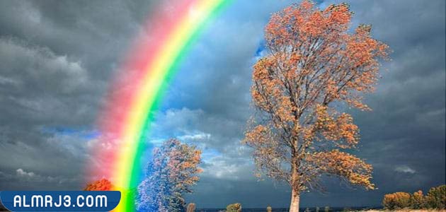 قوس قزح الأساسي