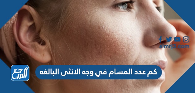 كم عدد المسام في وجه الانثى البالغه