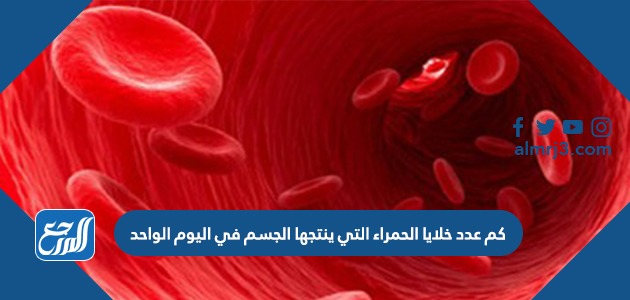 لا تنتقل خلايا الدم الحمراء عبر الغشاء