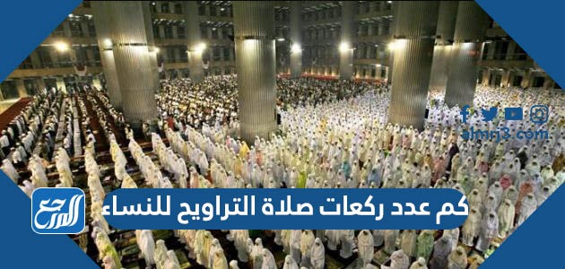 كم عدد ركعات صلاة التراويح للنساء