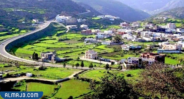 كم عدد سكان الباحة 2022