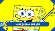 كم عمر سبونج بوب الحقيقي