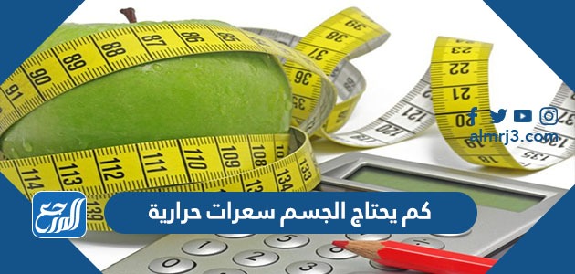 كم يحتاج الجسم سعرات حرارية