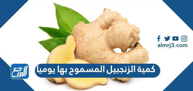 كمية الزنجبيل المسموح بها يوميا
